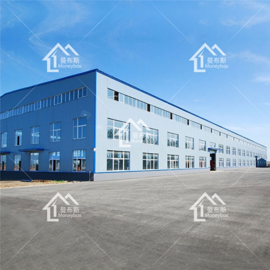 bâtiment d'usine de conception professionnelle usine en acier bâtiment d'usine préfabriquée
